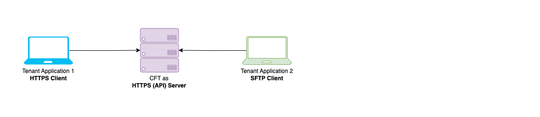 CFT User Guide