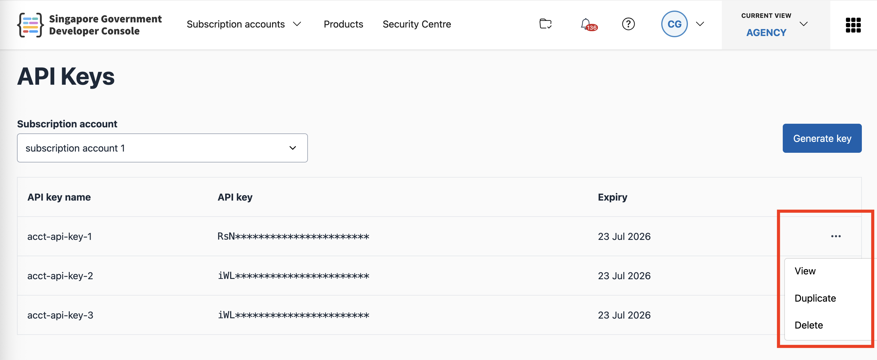 API key options