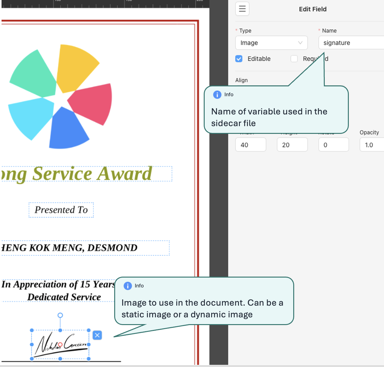 Blank PDF Designer