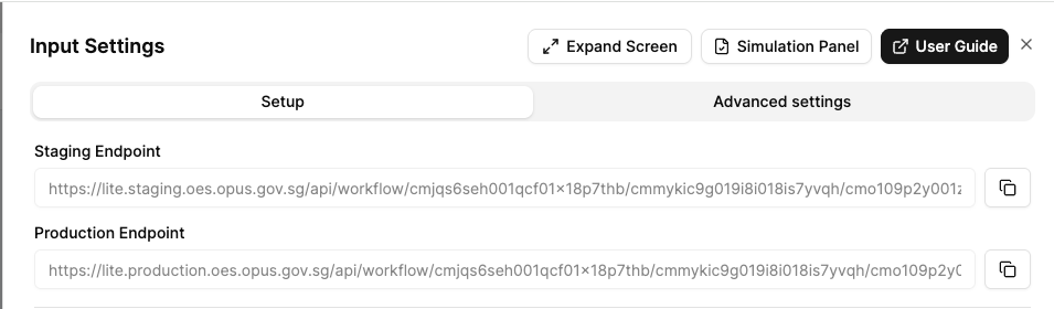 Runtime URL