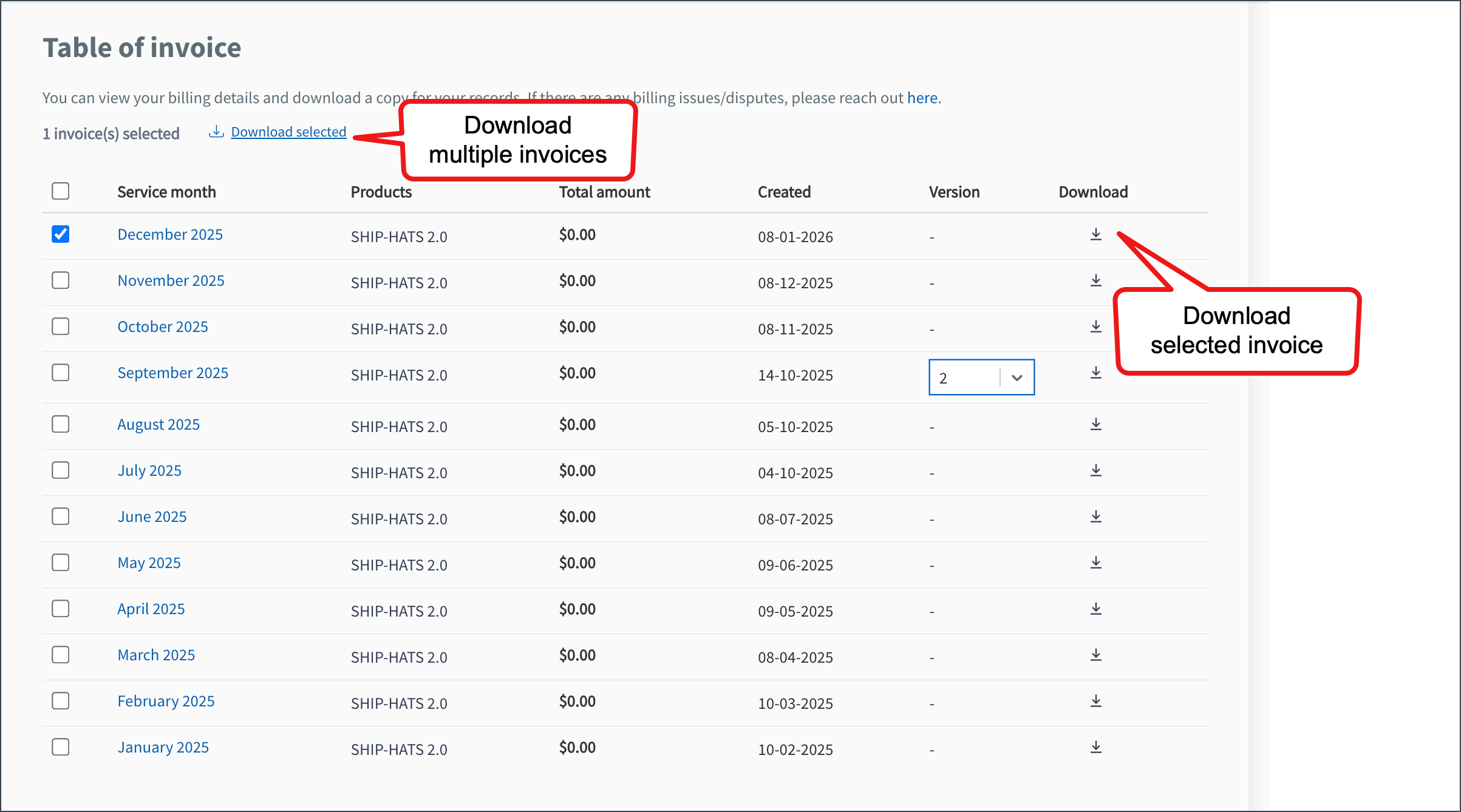 download-invoice