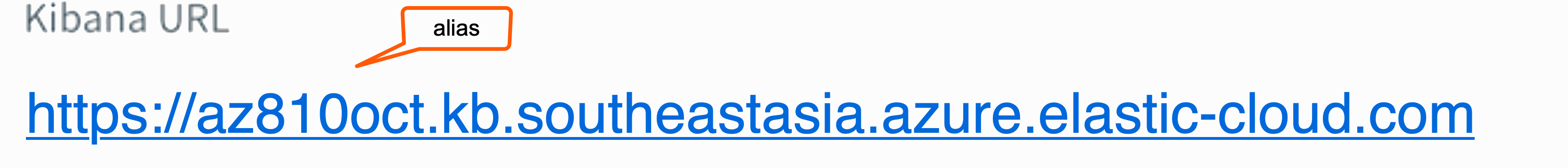 alias name on TechBiz
